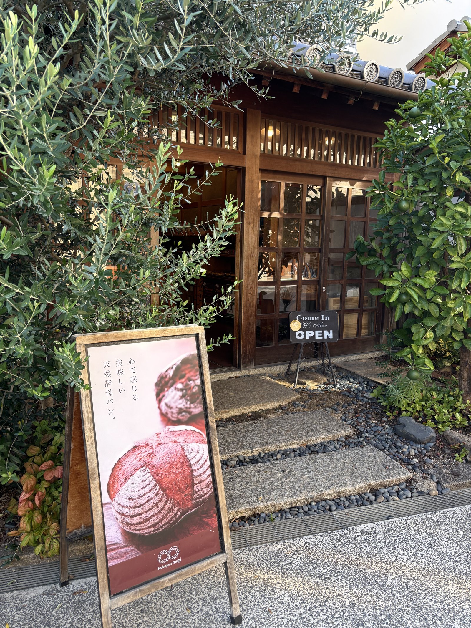 Boulangerie mugi の入口、オリーブの木と看板