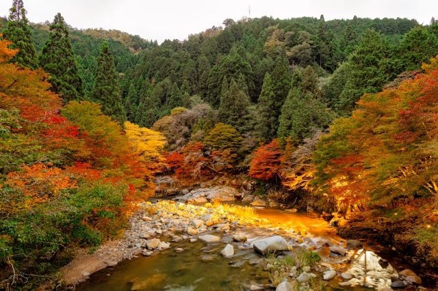 紅葉に包まれる奥津渓の渓流